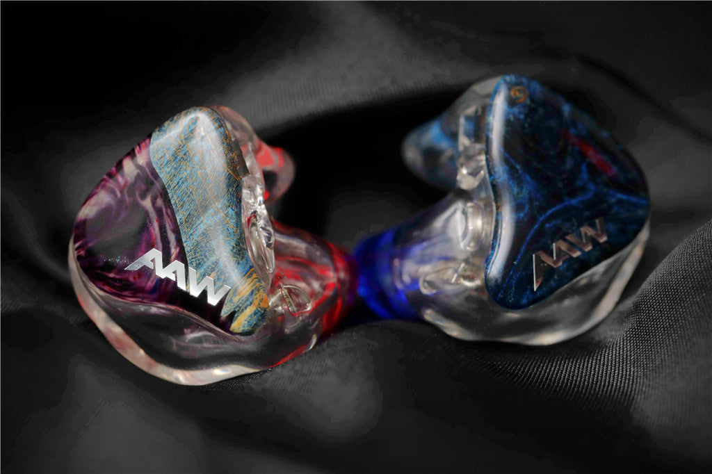 Custom In-Ear Monitor